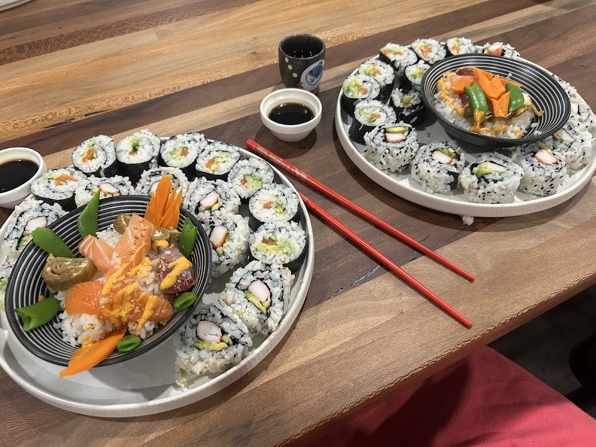 Life Plus Schools For The Curious class experience