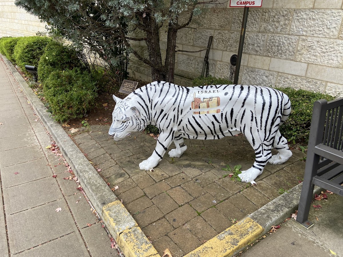 Jewish Community Center- Bernikow