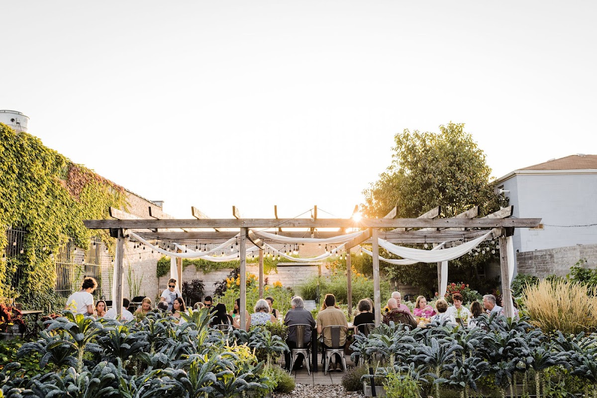 Big Delicious Planet class experience