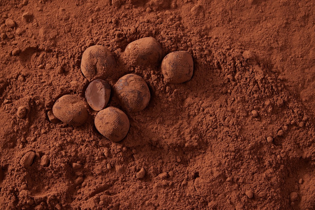 Callebaut Chocolate Academy Chicago