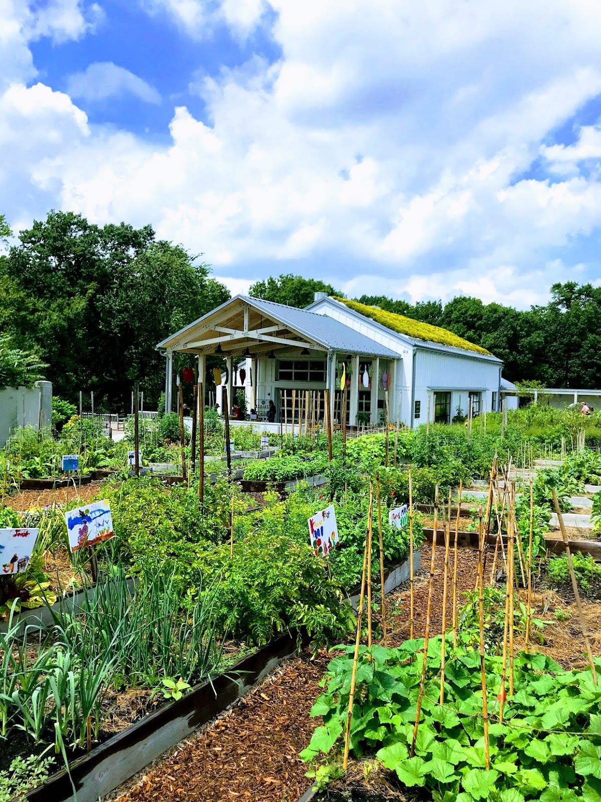 Edible Academy, NYBG