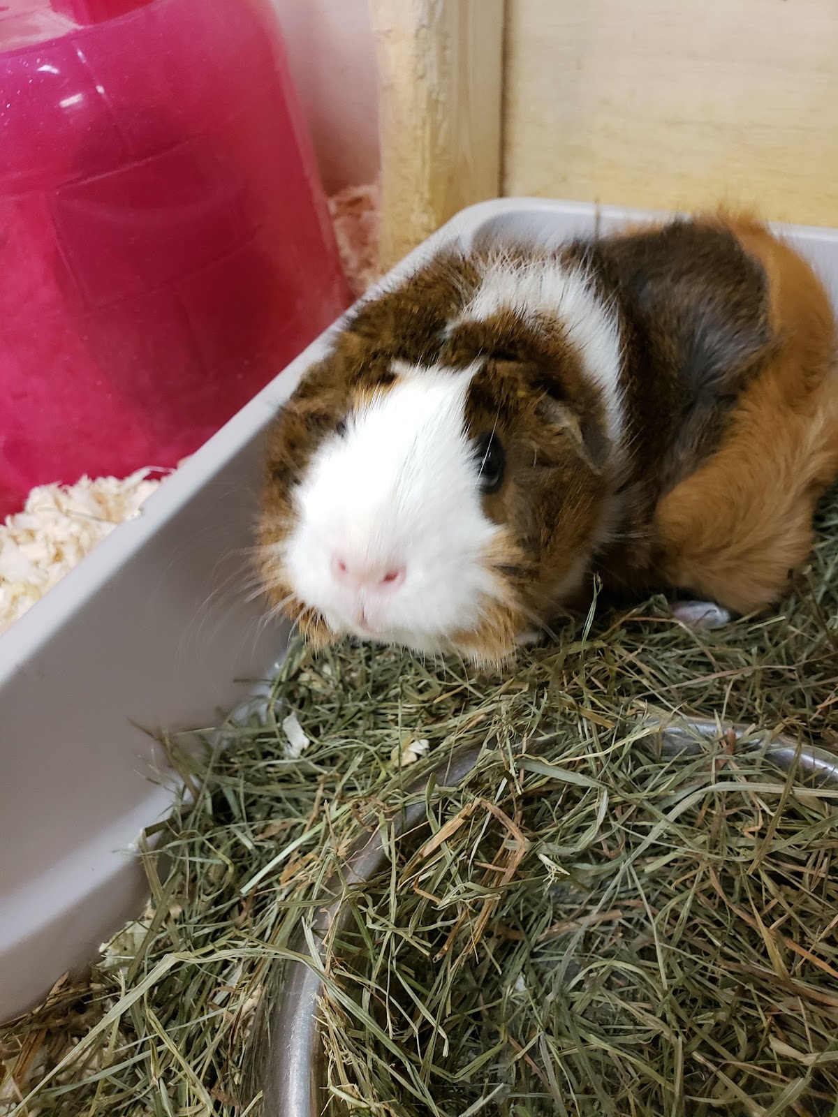 The Art Farm class experience