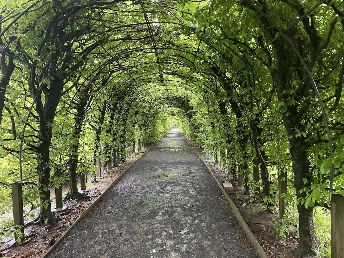 Snug Harbor Cultural Center & Botanical Garden class experience