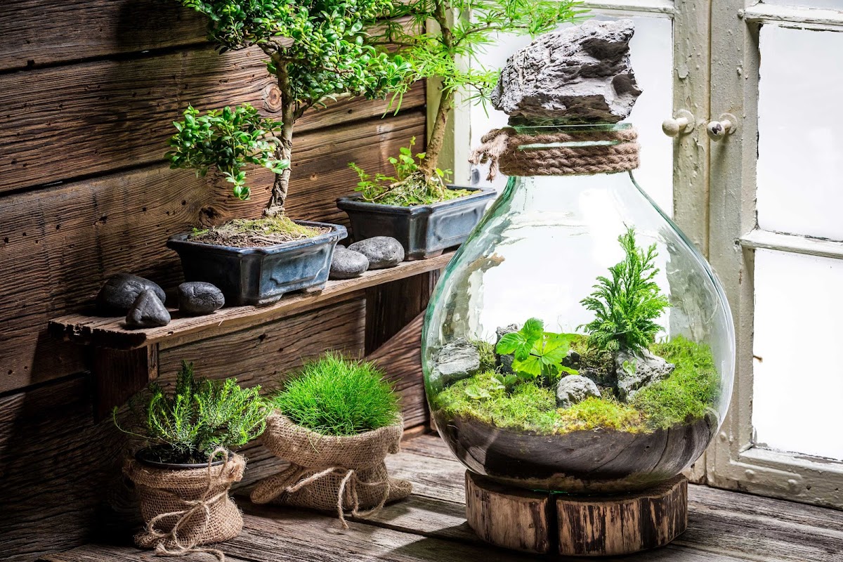 Color Cocktail Factory class experience